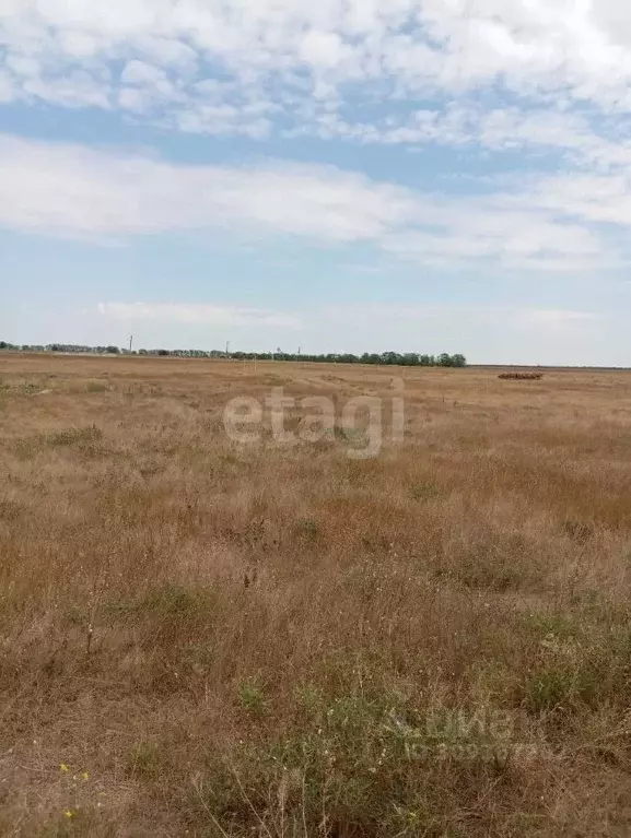 Участок в Крым, Сакский район, с. Добрушино  (11.0 сот.) - Фото 0