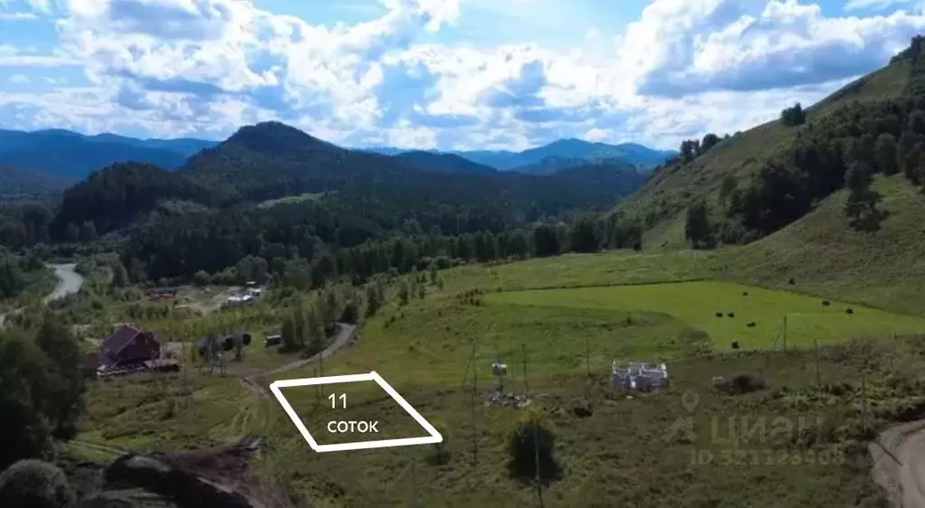 Участок в Алтайский край, Алтайский район, с. Нижнекаянча ул. Усть-Уба ... - Фото 1