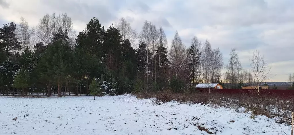 Участок в Московская область, Ступино городской округ, Светлозерье кп  ... - Фото 2