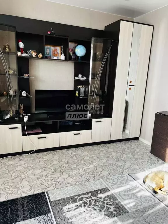 2-к кв. Забайкальский край, Чита ул. Строителей, 4 (57.1 м) - Фото 2