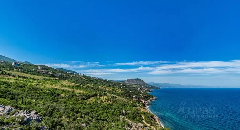 1-к кв. Крым, Алушта муниципальный округ, пос. Бондаренково Летто ... - Фото 1