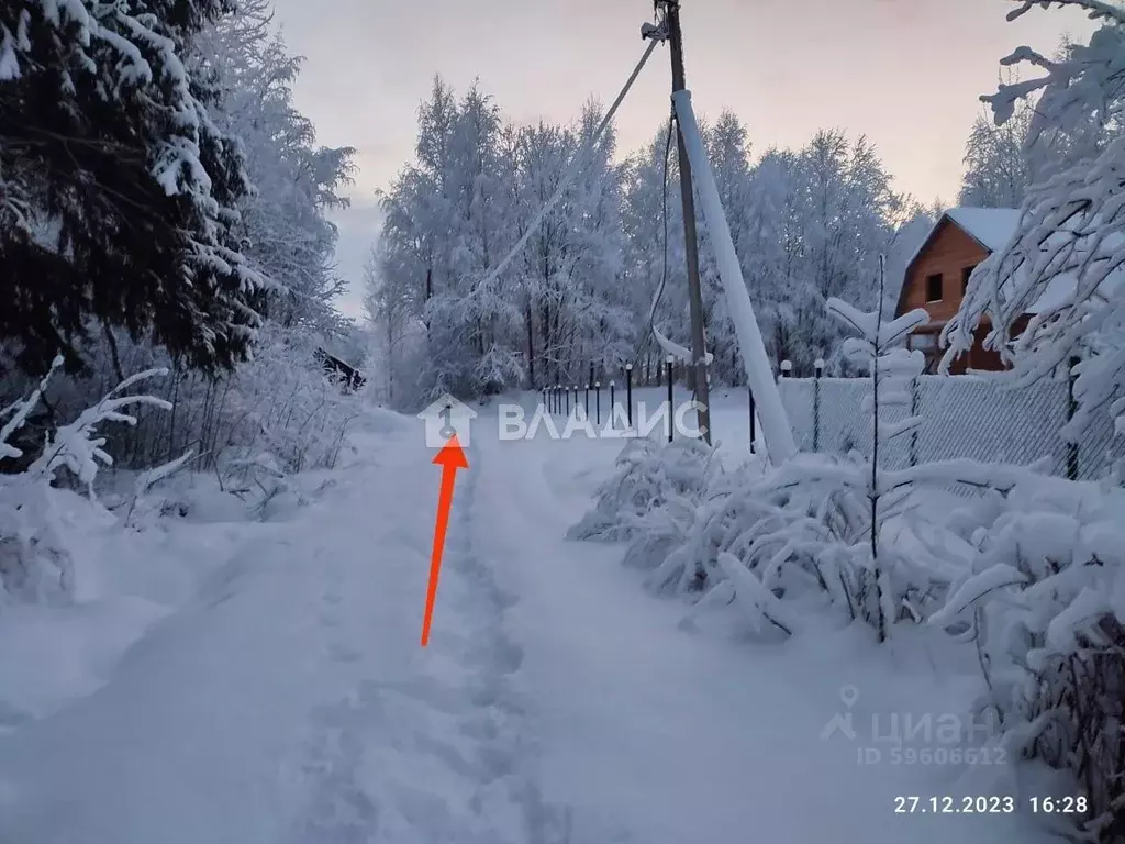 Участок в Ленинградская область, Выборгский район, Красносельское ... - Фото 0