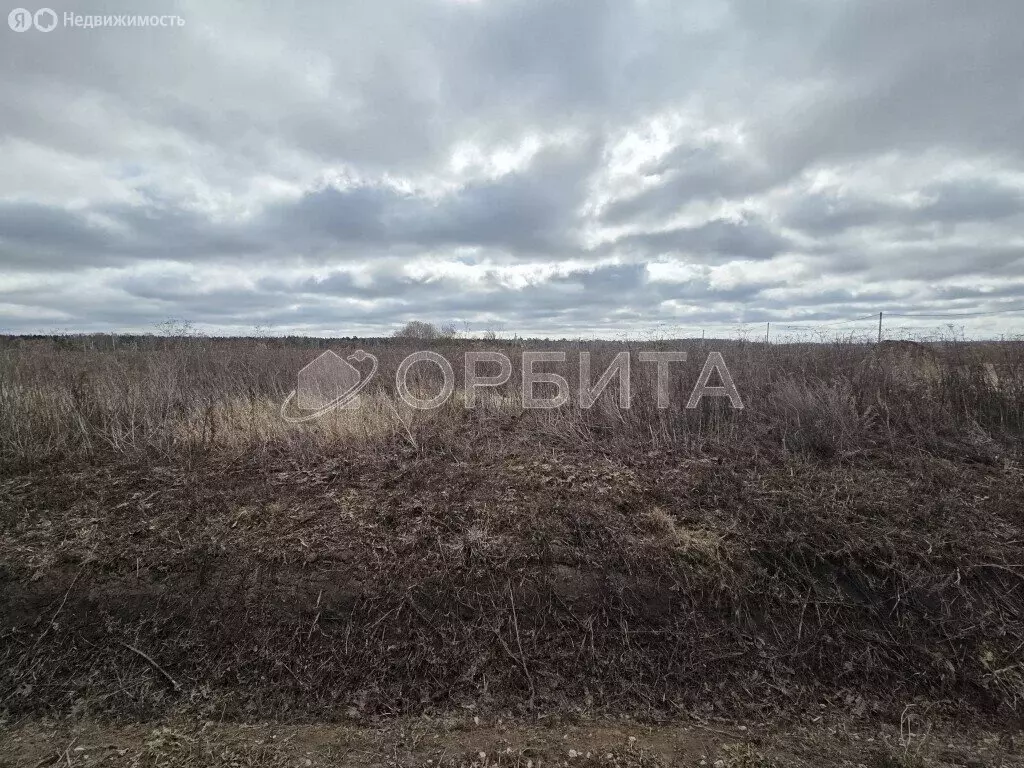 Участок в Тюмень, садовое товарищество Липовый Остров (14.76 м) - Фото 1