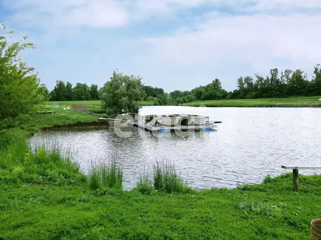 Участок в Белгородская область, Новооскольский городской округ, с. ... - Фото 0