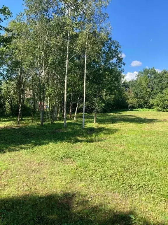 Участок в Ленинградская область, Гатчинский муниципальный округ, д. ... - Фото 2