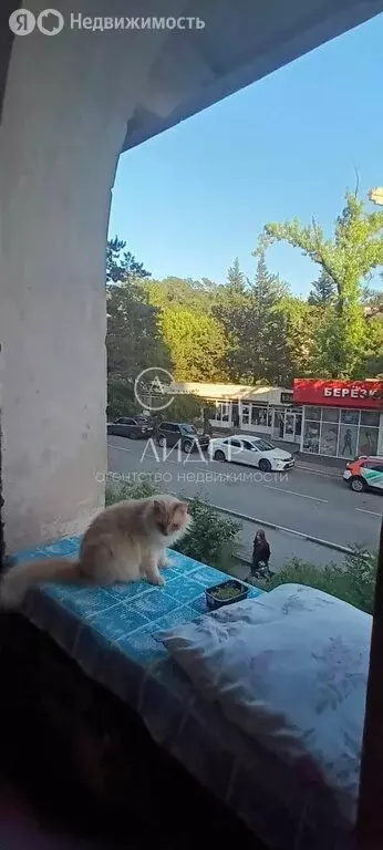 3-комнатная квартира: посёлок городского типа Дагомыс, Батумское ... - Фото 2