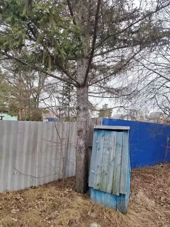 Дом в Курганская область, Курган Тополя СТ, 10 (45 м) - Фото 0