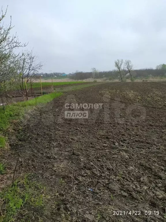 Дом 43,2 м на участке 35,9 сот. - Фото 1