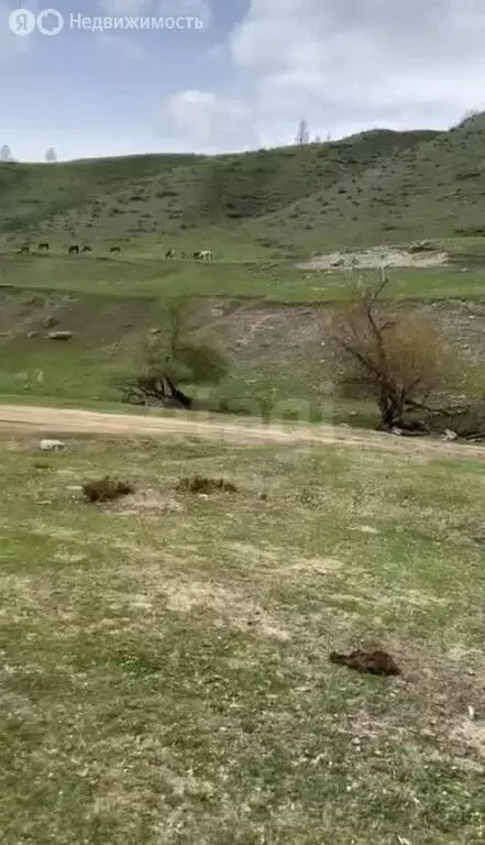 Участок в село Тюнгур, Лазурная улица (20 м) - Фото 1