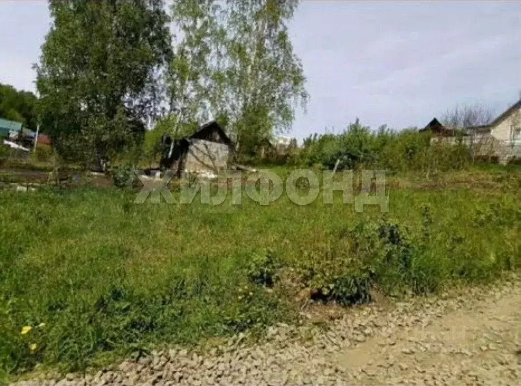 Участок в Новосибирская область, Новосибирск Ветеран СНТ, ул. ... - Фото 1