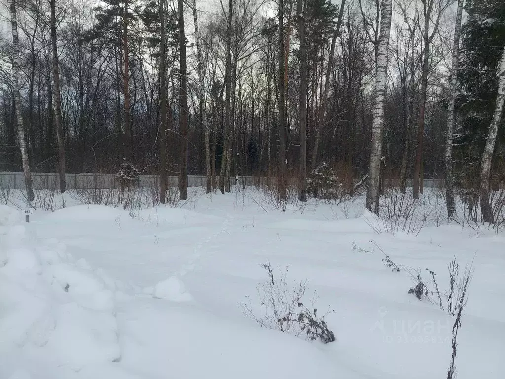 Участок в Московская область, Раменский городской округ, д. Прудки ул. ... - Фото 0