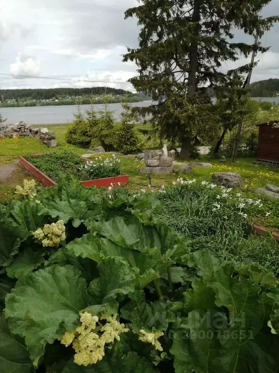 Дом в Карелия, Сортавальский муниципальный округ, пос. Нукутталахти ... - Фото 1