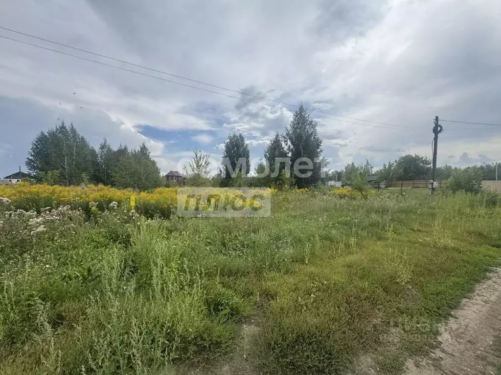 Участок в Алтайский край, Бийск ул. 4-я Нефтяная, 6 (14.4 сот.) - Фото 1