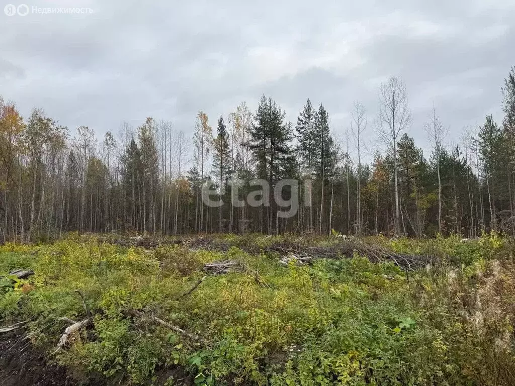 Участок в Архангельская область, Приморский муниципальный округ, ... - Фото 2