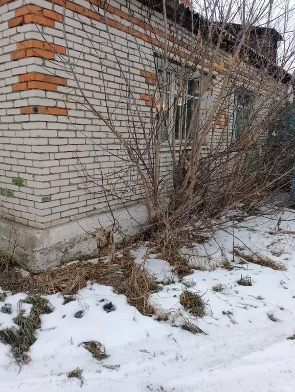 Помещение свободного назначения в Курганская область, Щучанский ... - Фото 2