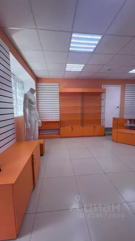 Торговая площадь в Воронежская область, Семилуки Комсомольская ул., 10 ... - Фото 1