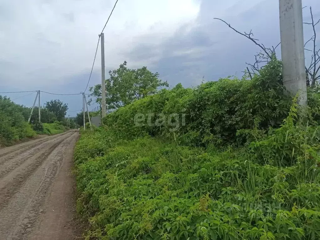 Участок в Белгородская область, Строитель Яковлевский городской округ, ... - Фото 1