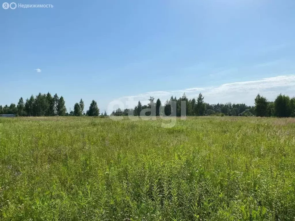 Участок в Тульская область, муниципальное образование Тула, посёлок ... - Фото 0