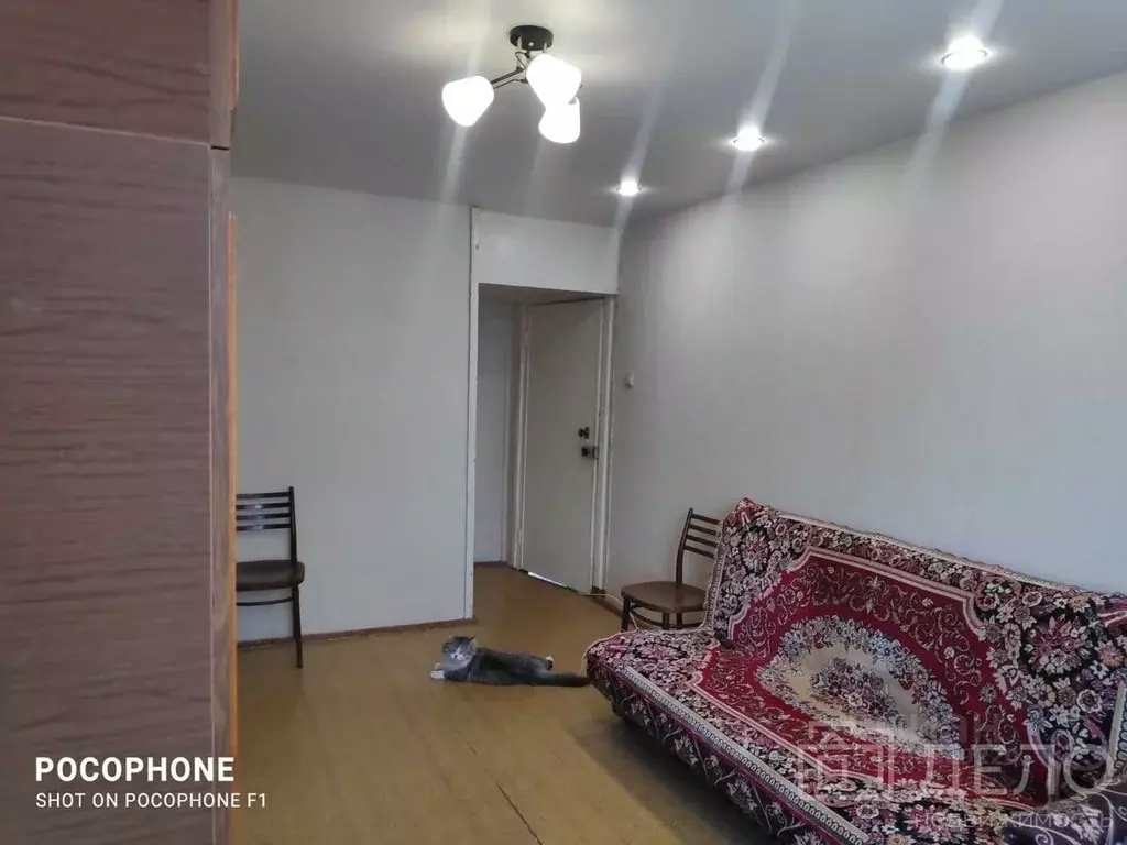 2-к кв. Костромская область, Кострома проезд 1-й Сосновый, 25 (41.1 м) - Фото 1