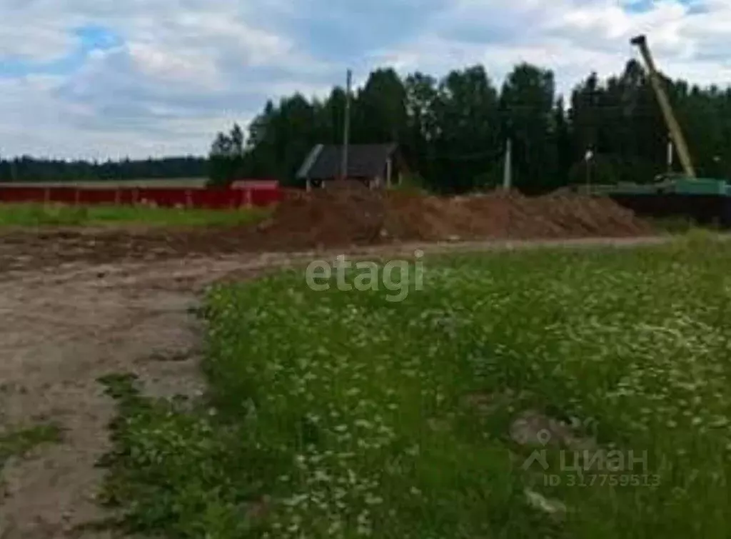 Участок в Пермский край, д. Заозерье (Усть-Качкинское сельское ... - Фото 0