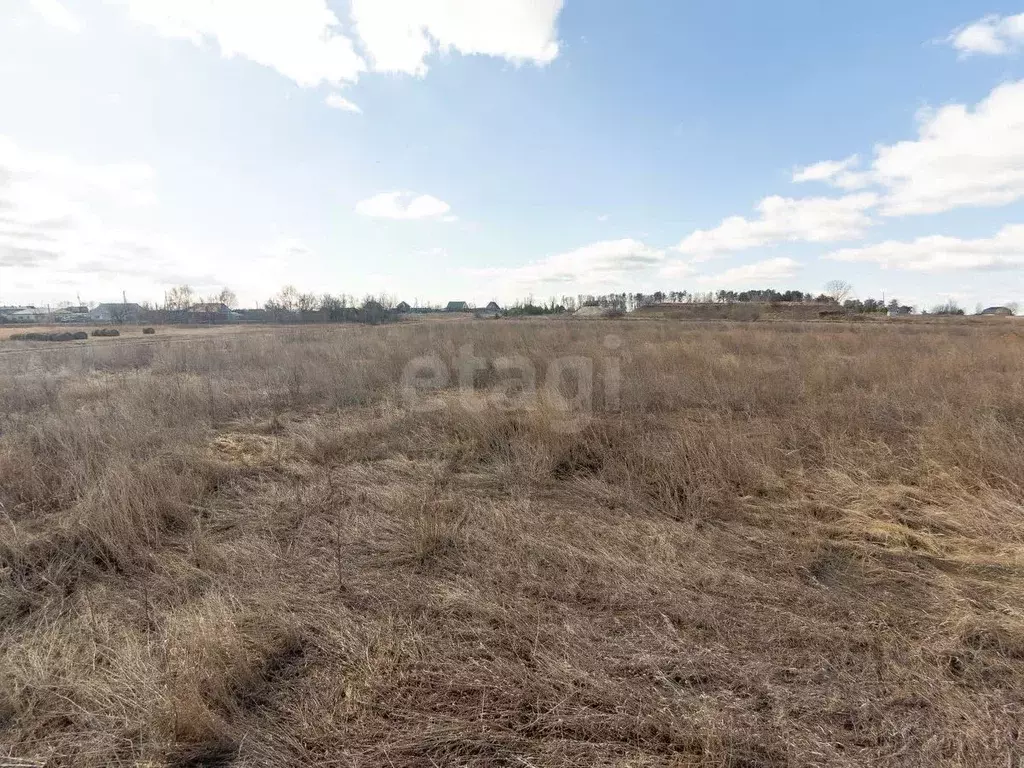 Участок в Тюменская область, Тюменский муниципальный округ, с. ... - Фото 1