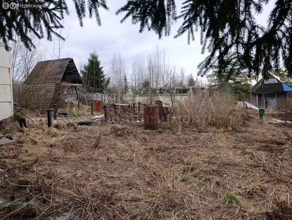 Участок в Мгинское городское поселение, садовое товарищество Славянка, ... - Фото 2