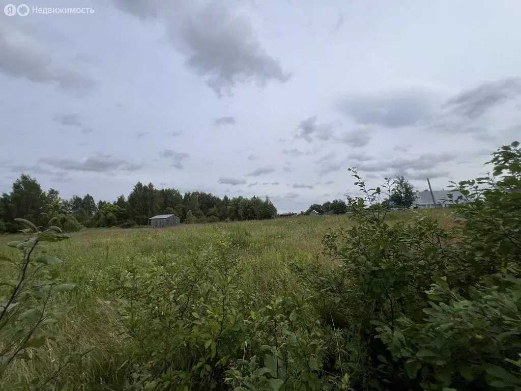 Участок в Владимирская область, Судогодский муниципальный округ, ... - Фото 0