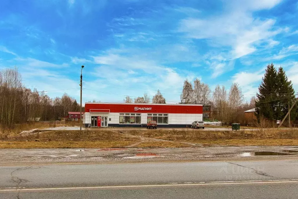 Участок в Владимирская область, Суздальский район, Селецкое ... - Фото 1