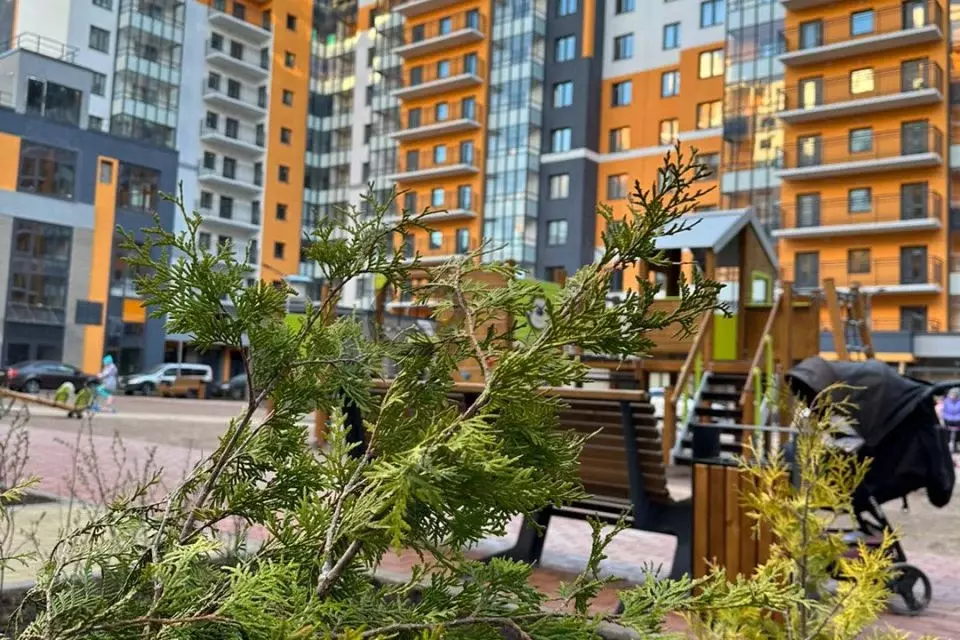 Продаётся квартира-студия, 22.3 м - Фото 0