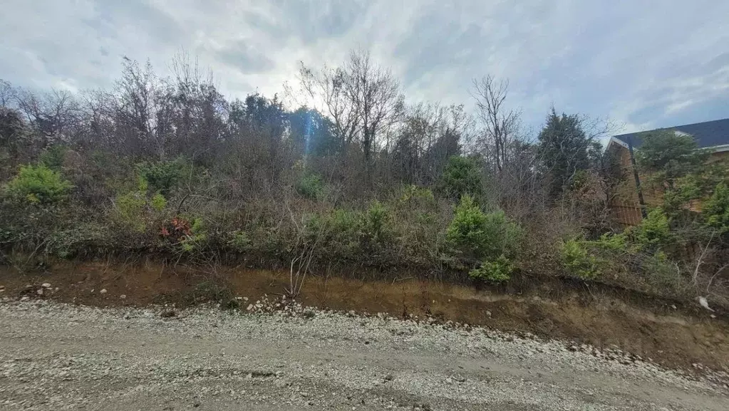 Участок в Краснодарский край, Анапа муниципальный округ, с. Сукко ул. ... - Фото 2