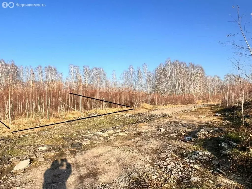 Участок в Станционный сельсовет, дачное некоммерческое товарищество ... - Фото 1