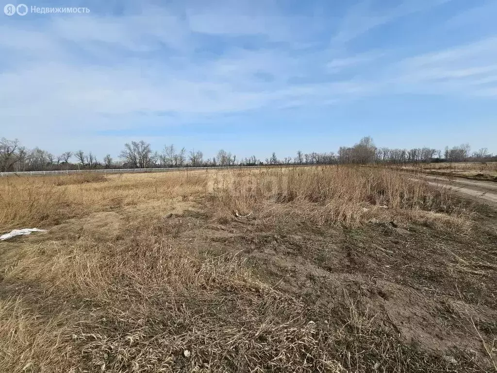 Участок в Селиванихинский сельсовет, посёлок Топольки, Сосновая улица ... - Фото 1
