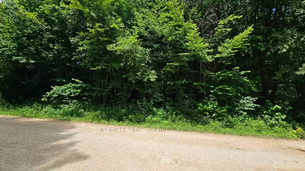 Участок в Краснодарский край, Апшеронский район, Мезмайское с/пос, ... - Фото 2