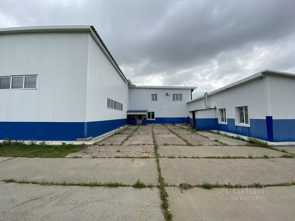 Производственное помещение в Омская область, Омский район, Дружинское . - Фото 1