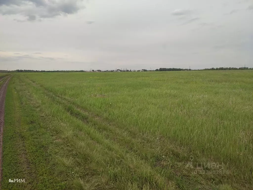 Участок в Калужская область, Тарусский муниципальный округ, Лопатино ... - Фото 0