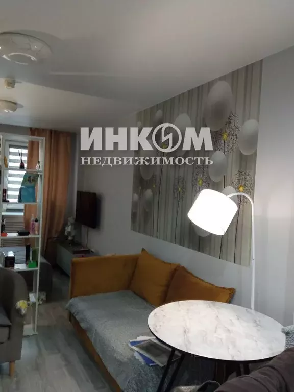 Студия Московская область, Щелково городской округ, д. Большие ... - Фото 1