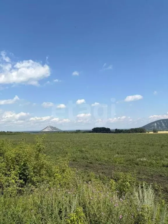 Участок в Башкортостан, Стерлитамакский район, Красноярский сельсовет, ... - Фото 1