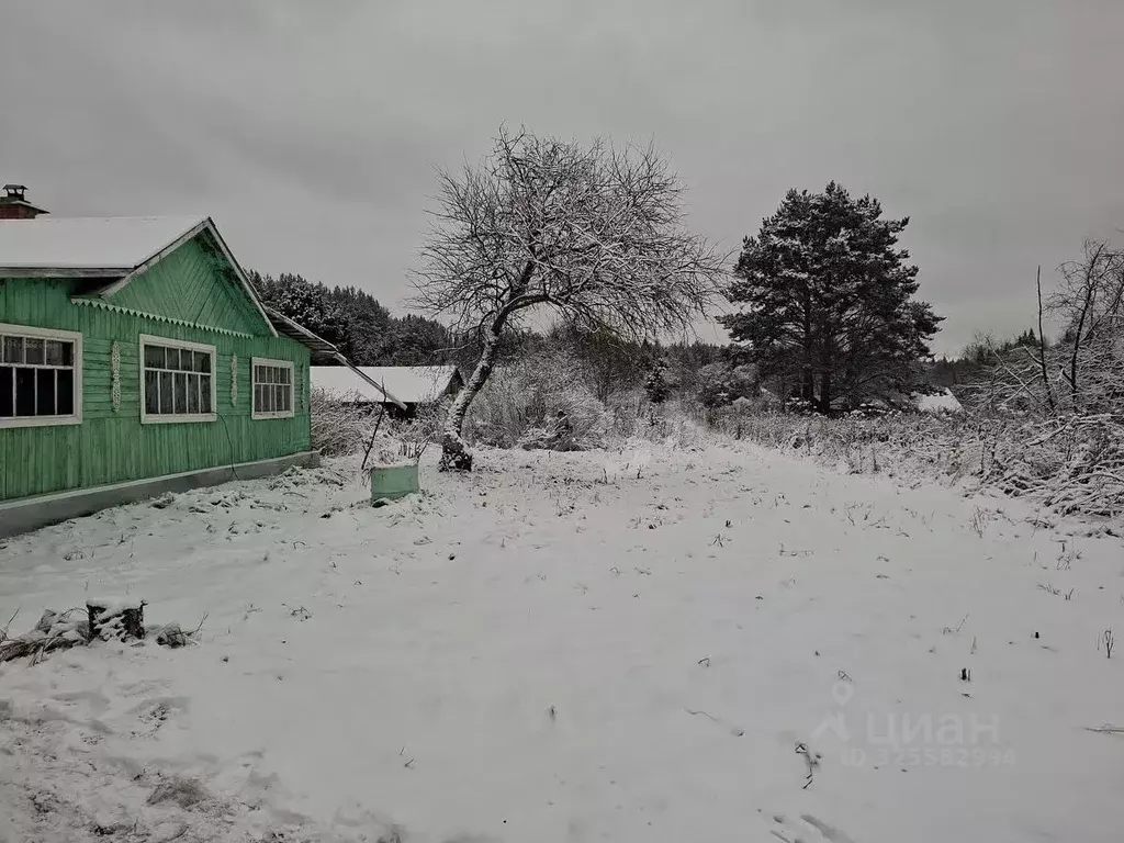 Участок в Свердловская область, Нижний Тагил Новая Кушва мкр,  (12.0 ... - Фото 2