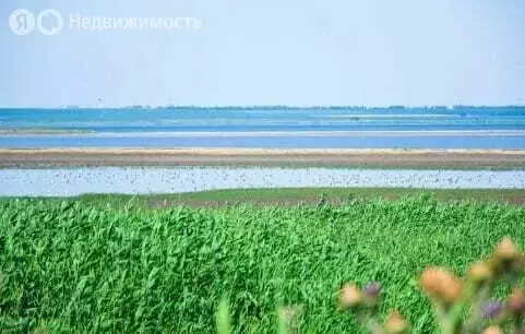 Участок в Ахтубинский район, село Капустин Яр (7 м) - Фото 0