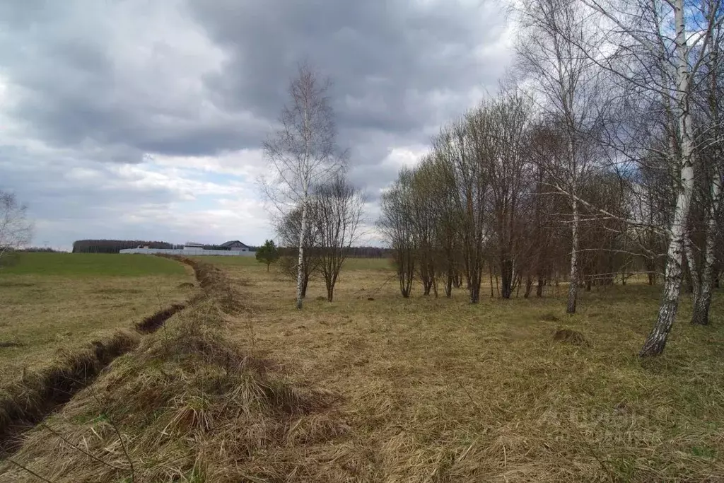 Участок в Московская область, Серпухов городской округ, Клейменово-2 ... - Фото 2