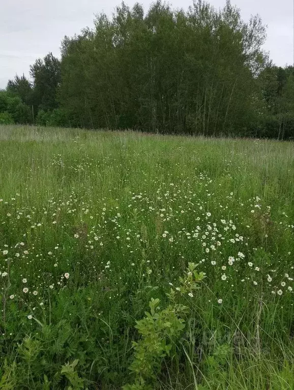 Участок в Московская область, Раменский муниципальный округ, ... - Фото 1