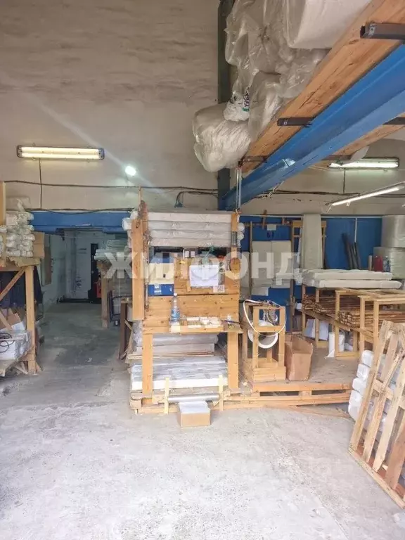 Производственное помещение в Новосибирская область, Новосибирск ул. ... - Фото 1