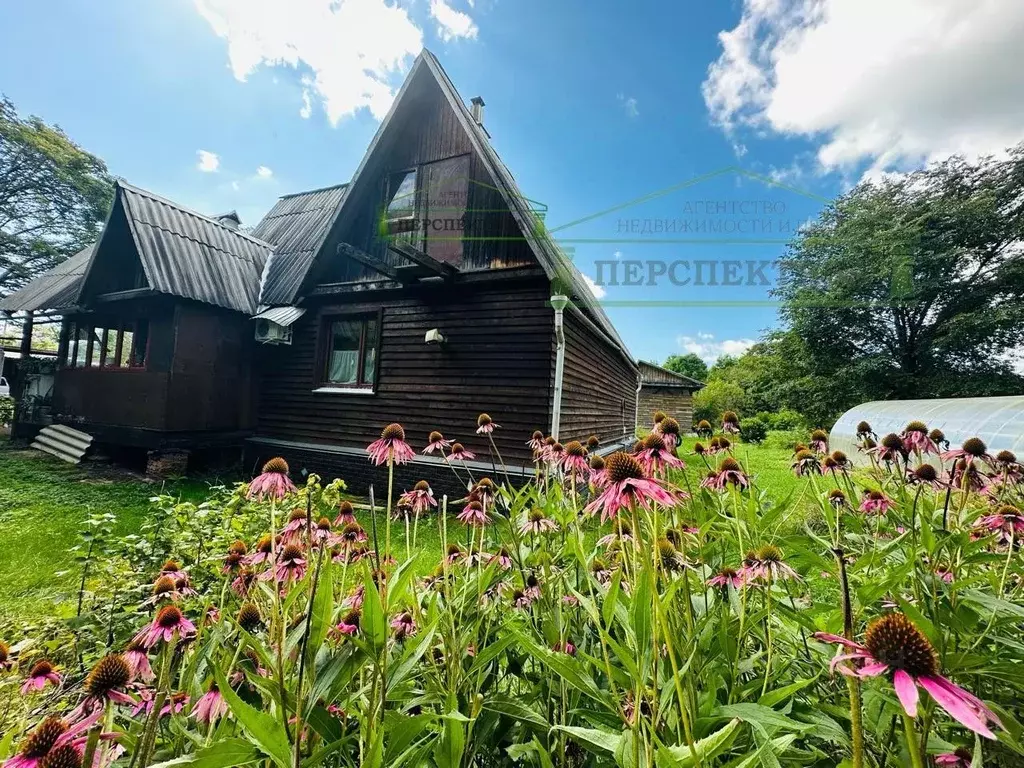 Дом в Приморский край, Чугуевский муниципальный округ, с. Медвежий Кут ... - Фото 2