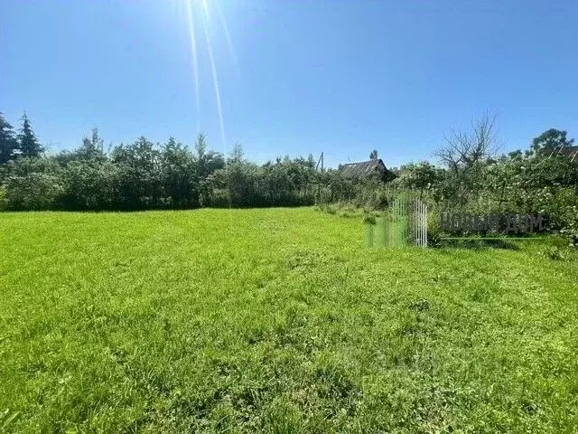 Участок в Новгородская область, Чудово Калинка садовое товарищество,  ... - Фото 2