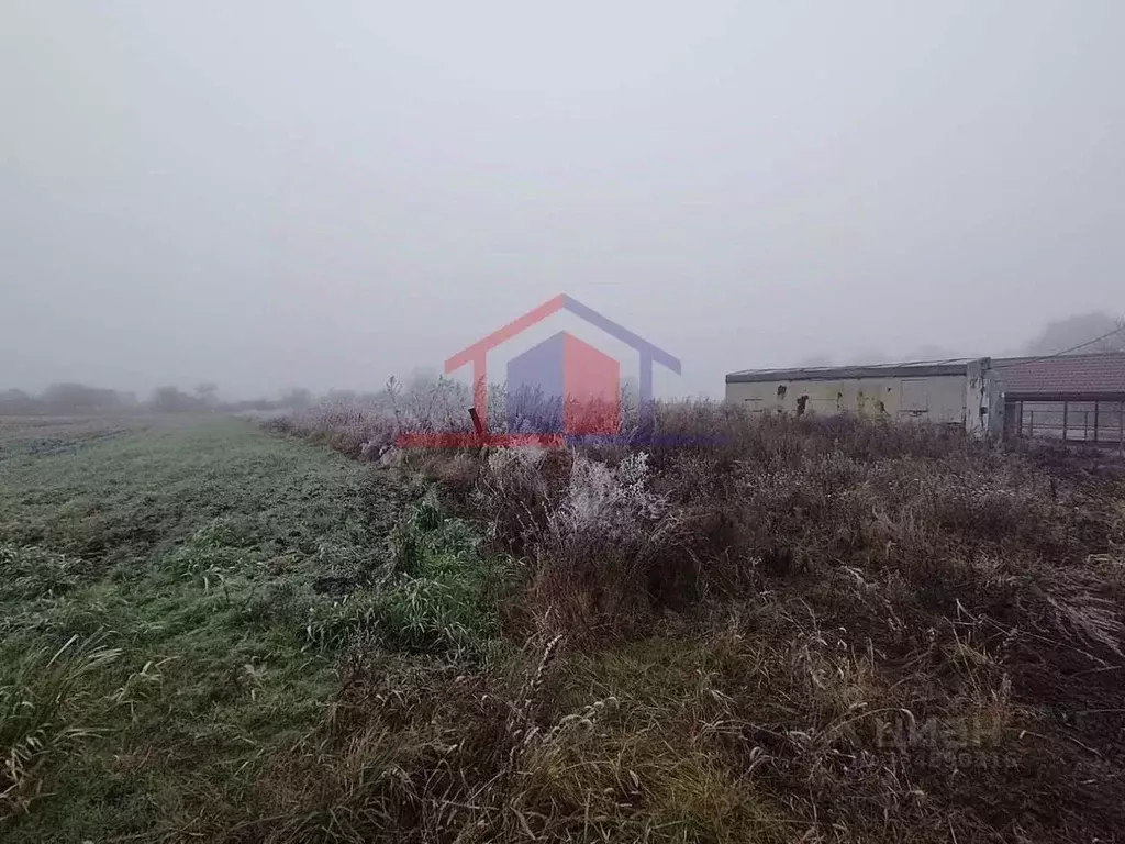 Участок в Белгородская область, Губкинский городской округ, с. Аверино ... - Фото 1