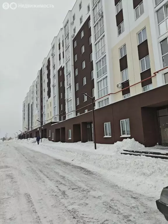 1-комнатная квартира: село Засечное, Центральная улица, 15 (39 м) - Фото 1