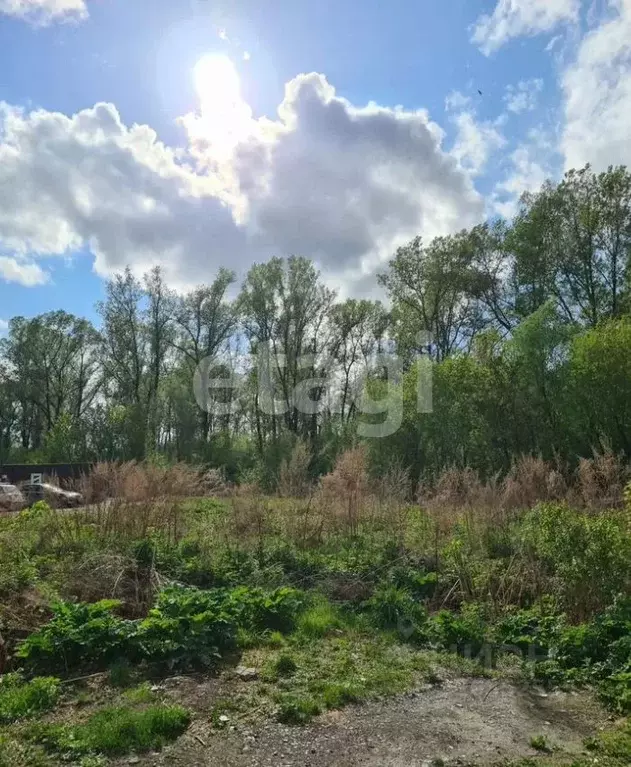 Участок в Алтай, Майминский район, с. Майма ул. Кирова (9.0 сот.) - Фото 1