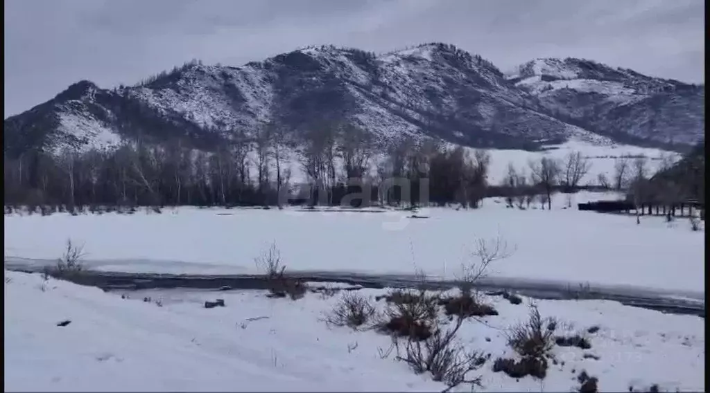 Участок в Алтай, Усть-Канский район, с. Владимировка  (27.2 сот.) - Фото 1