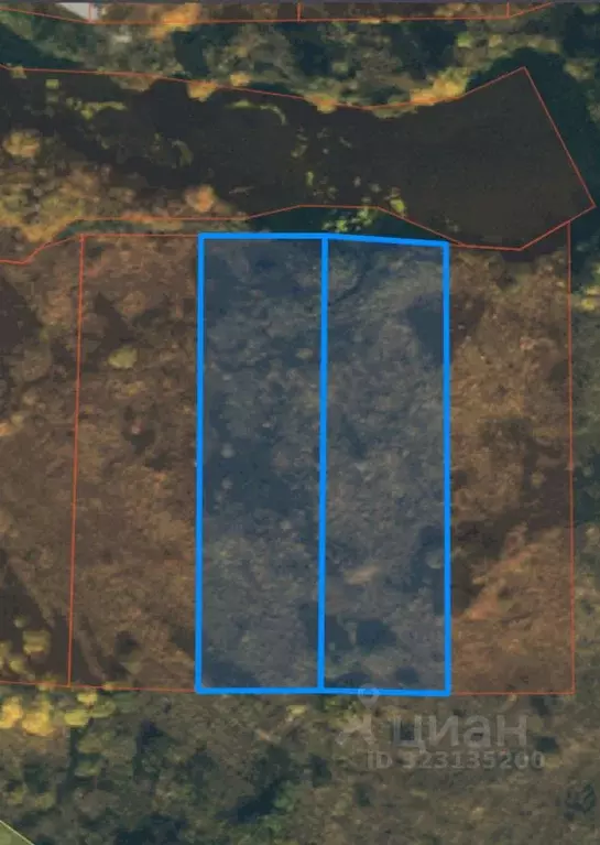 Участок в Рязанская область, Сасовский муниципальный округ, д. ... - Фото 2