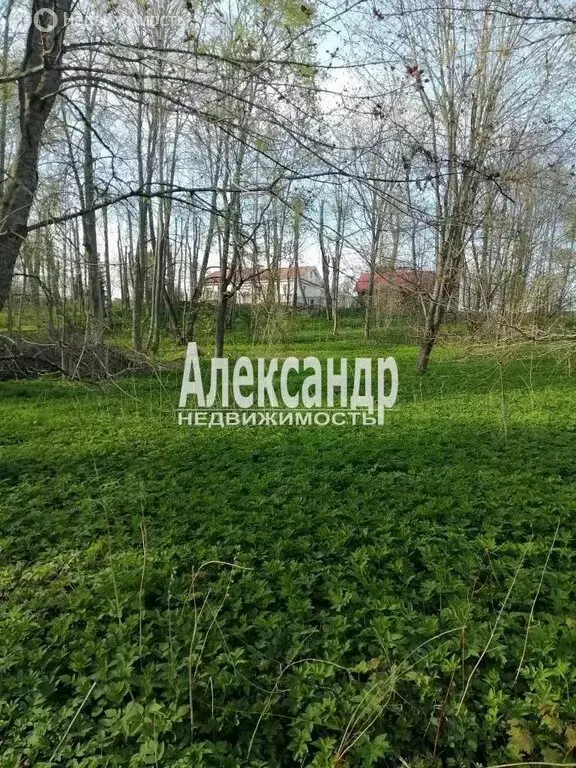 Участок в Лужский район, Скребловское сельское поселение, деревня ... - Фото 1